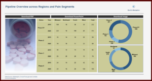 Pipeline overview across regions and pain segments
